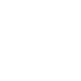 Wordpress Website Development Agency In Dwarka Delhi